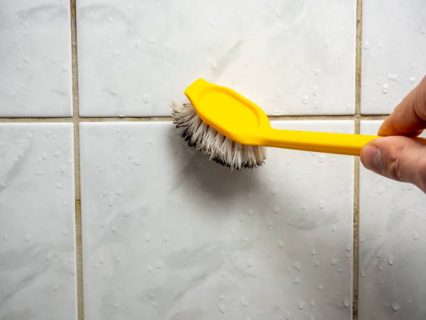 Best Residential Mold Removal  in , OH